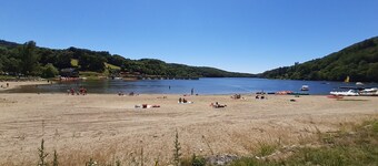 CARPE DIEM WITH BIRDSONG