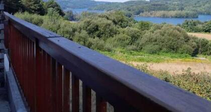 CARPE DIEM WITH BIRDSONG