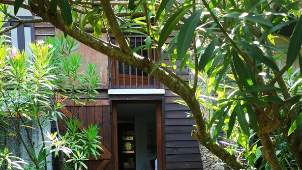 Une terrasse en bois mène à un bâtiment également en bois, doté d’une porte, et l’ensemble est entouré d’une végétation luxuriante.