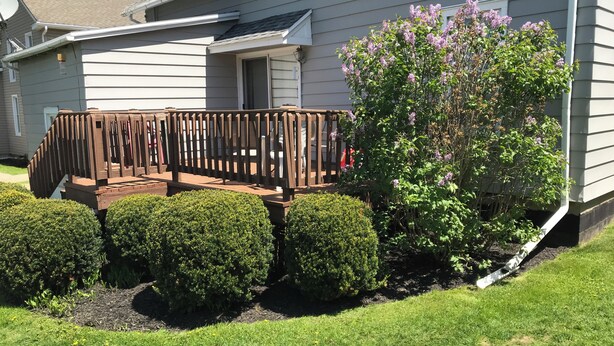 A residential property with a wooden deck, trimmed hedges, and flowering shrubs. - Quaint Village home in Allegany.1 mile from St. Bonaventure. (Allegany)