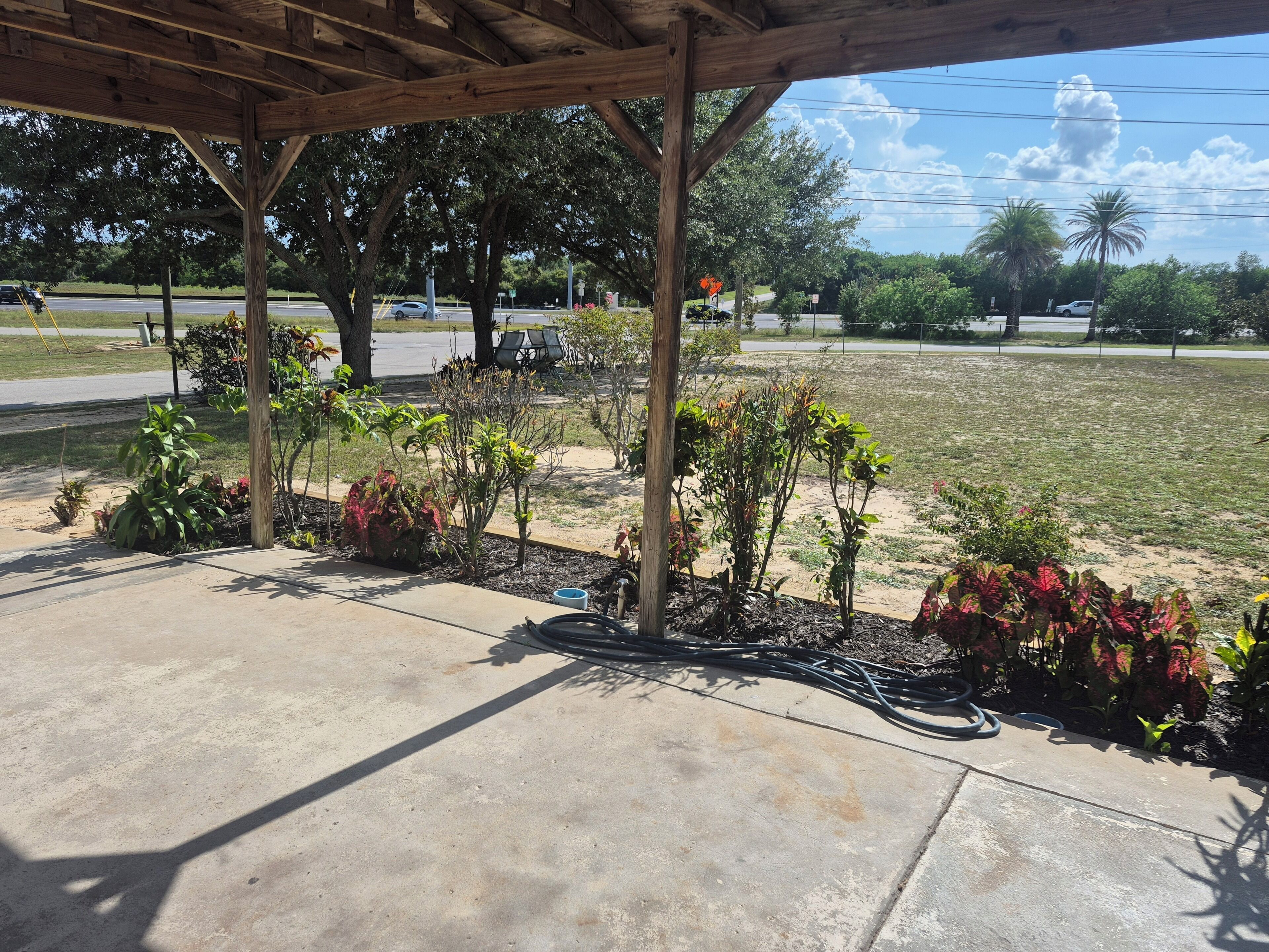 A covered outdoor area with a concrete floor, surrounded by various plants and trees.