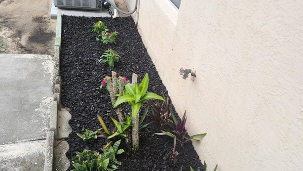 A garden bed with various plants, a window, and an air conditioning unit.
