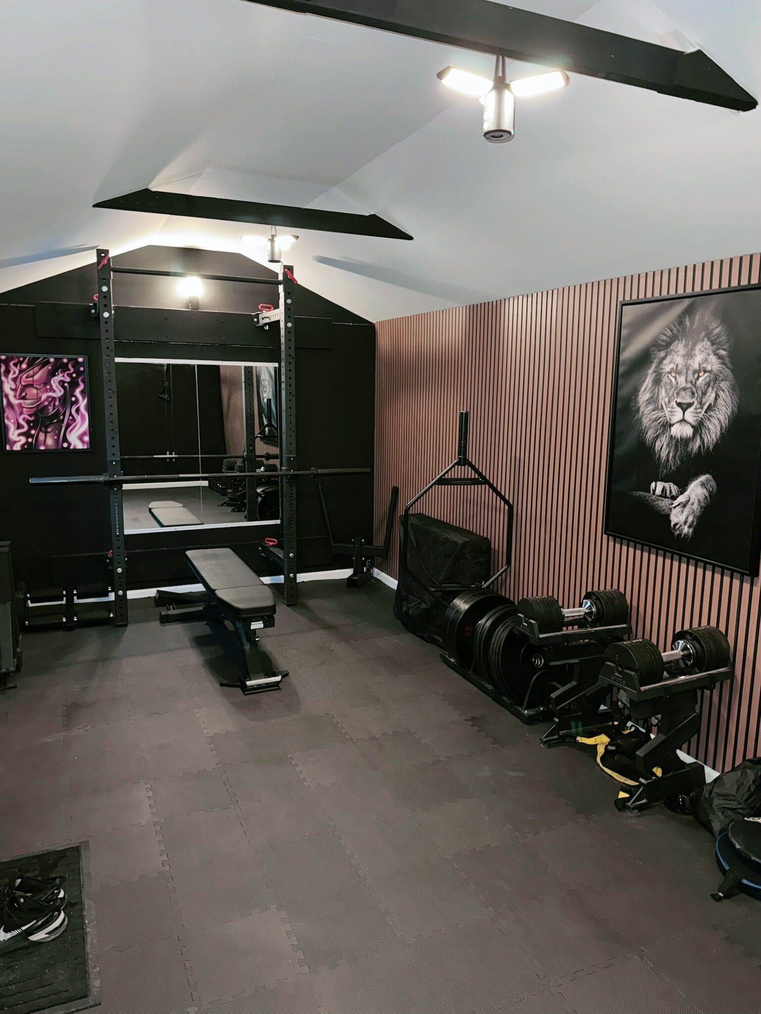 Ein Heimfitnessraum mit Squat-Rack, Langhantelbank und verschiedenen Gewichten.