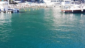 Un port de plaisance avec des bateaux amarrés et des gens qui se promènent le long de la jetée.
