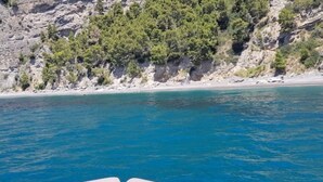 On aperçoit clairement une plage, avec une falaise rocheuse et un feuillage verdoyant et dense en arrière-plan.