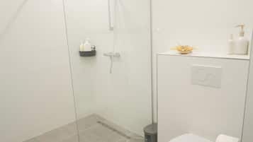 Ducha, secador de pelo, toallas, papel higiénico