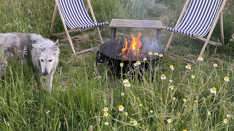 Beautiful Pet-friendly Cabin in Banbury, No Deposit