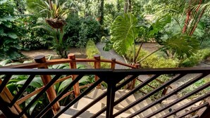 Un escalier en bois, doté d’une rampe métallique, mène à un jardin luxuriant où l’on trouve diverses plantes et un sentier en pierre.