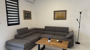 Televisión 