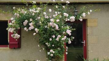 DĂ©tail de lâextĂ©rieur