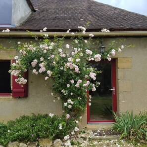 Detalle del exterior