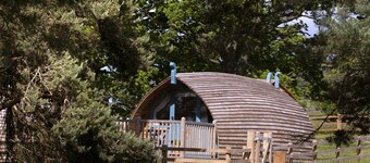 Cabin by Langley Dam With Lake Views