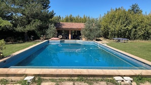 Ein rechteckiger Pool mit gefliesten Rändern, eine überdachte Terrasse mit Gartenmöbeln und ein Tischtennisschläger im Hintergrund.