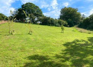 House | View from property - Cabin in New Forest With Private Woodland (Romsey)