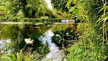 House | View from property