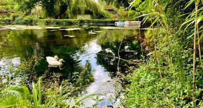 Cabin in New Forest With Private Woodland