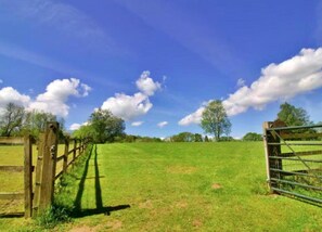 House | View from property - Cabin in New Forest With Private Woodland (Romsey)