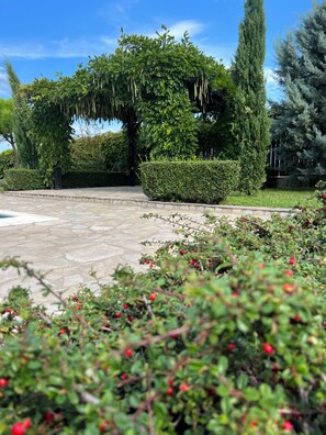 Stroll through the beautifully maintained garden, surrounded by lush plants and trees along a meandering stone pathway.