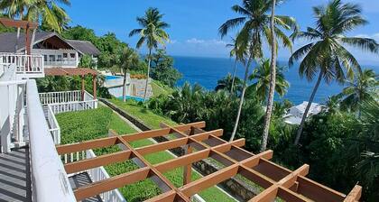 Cozy 2-bedroom apartment in welcoming Samana , Pool and Private beach