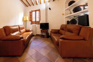 TV, fireplace, video games, books