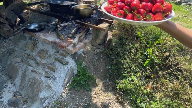Un'area cucina esterna rustica con un muro in pietra, un albero e un piatto di fragole.