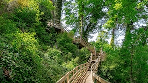 Una scala in legno immersa nel verde.