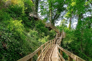 Una escalera de madera rodeada de abundante follaje.