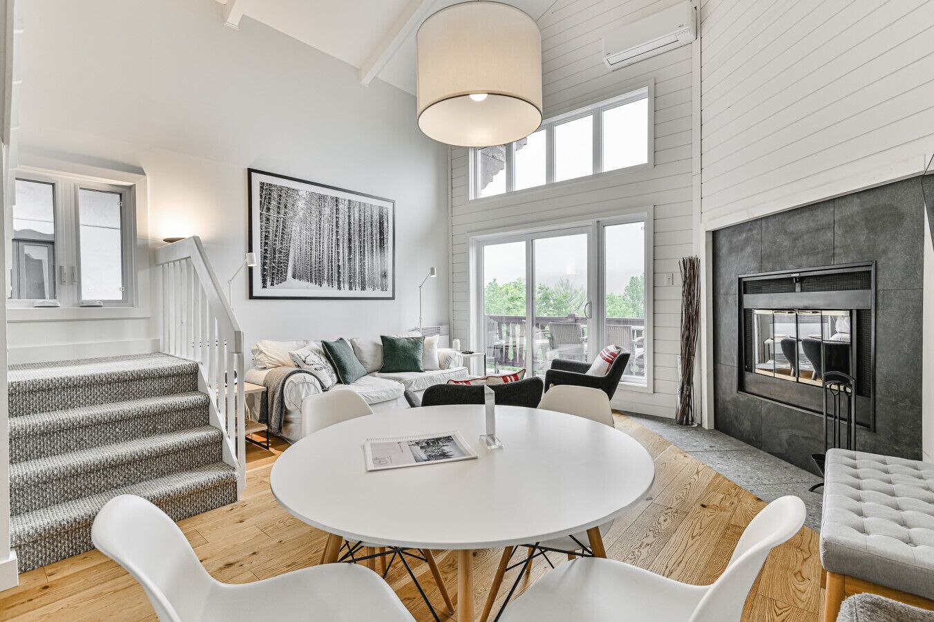 Smart-tv, pejs, bøger