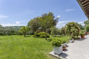 Property grounds - Casona Serrari with Swimmingpool (Lazio)