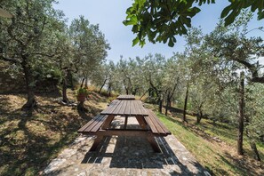 Taula de pícnic en una zona boscosa amb arbres i cel serè.