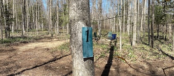 Private Wooded Campsite for Tents or Small RV's #2