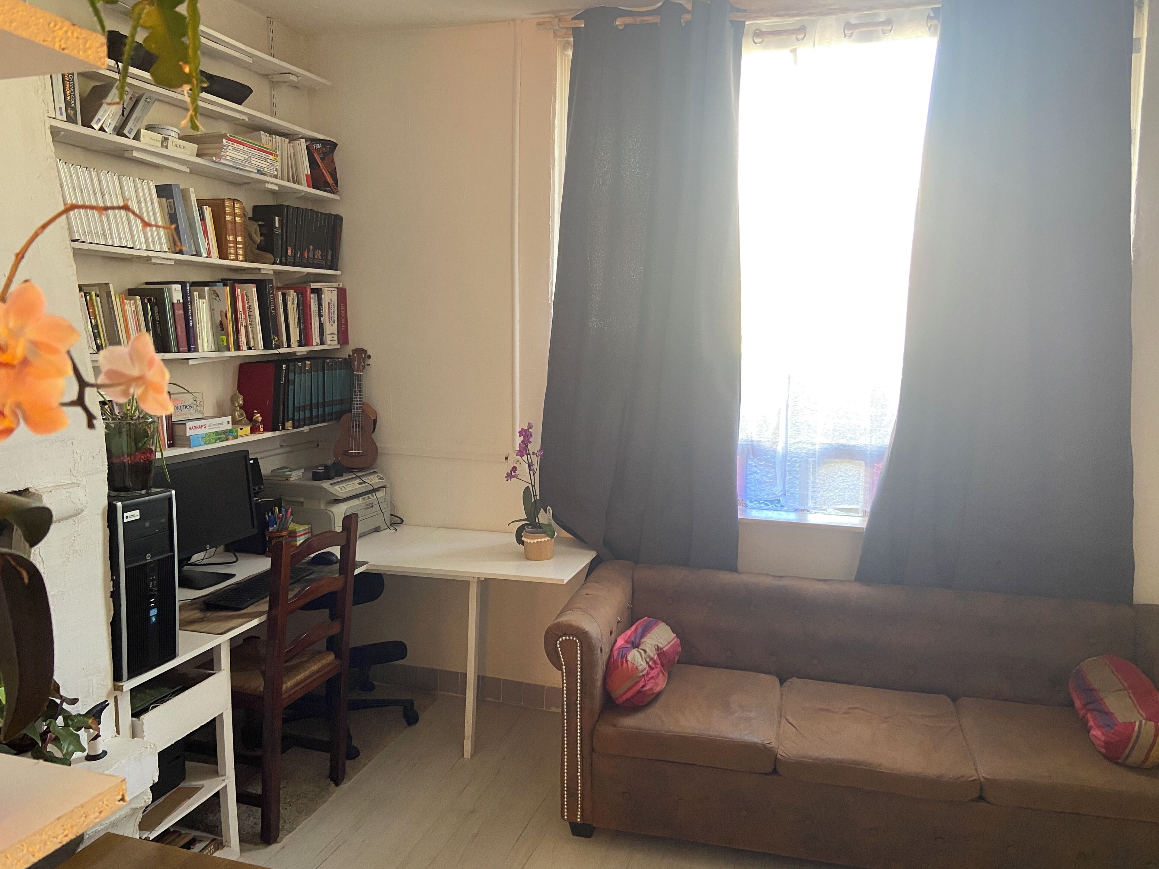 Télévision, cheminée, jeux vidéo, livres