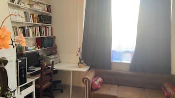 Télévision, cheminée, jeux vidéo, livres