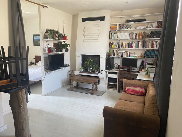 TV, fireplace, video games, books