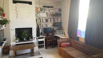 TV, caminetto, videogiochi, libri