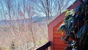 A wooden deck with a chair and a potted plant, overlooking a mountainous landscape.