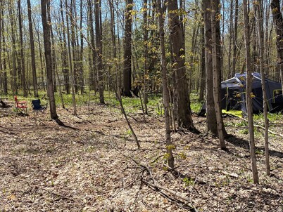 #3 Private Wooded Campsite for Tents or Small RV's