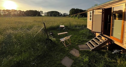 Beautiful circus wagon in a secluded location