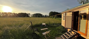 Beautiful circus wagon in a secluded location