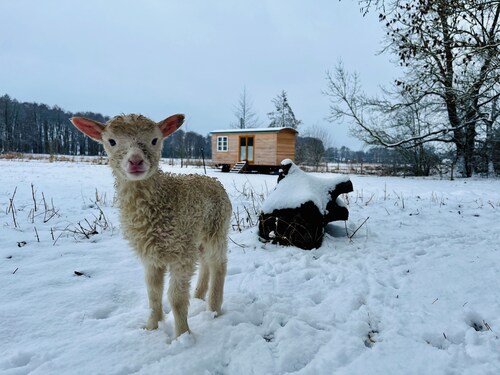 Wunderschönes Tinyhouse in Alleinlage an der Schafweide