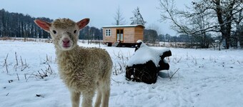 Beautiful circus wagon in a secluded location 