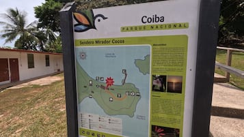 Serviço de traslado de/para a praia, prática de mergulho livre no local