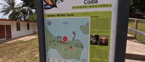 Traslado desde/hacia la playa, snorkel