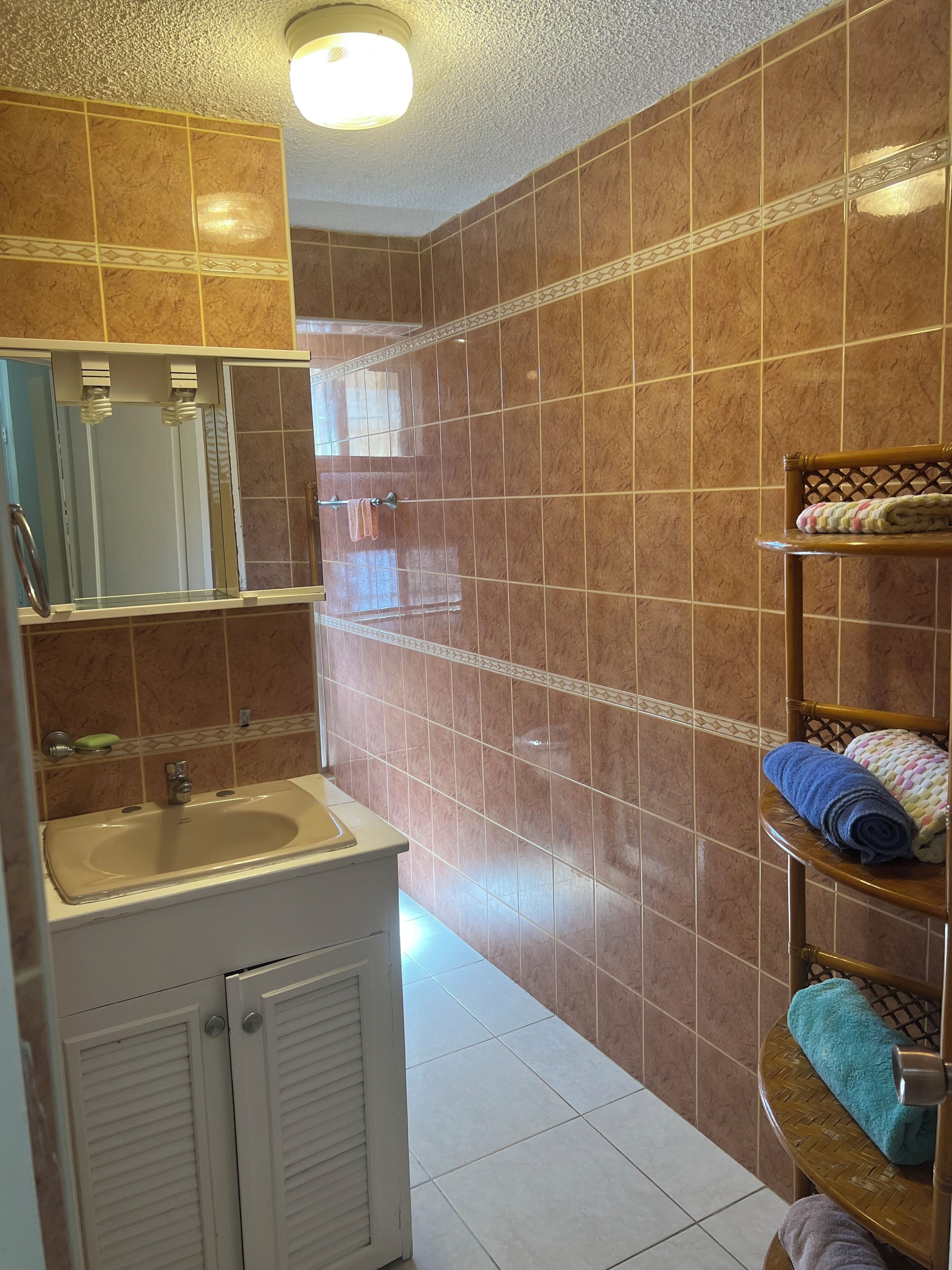 Hair dryer, towels, soap, toilet paper