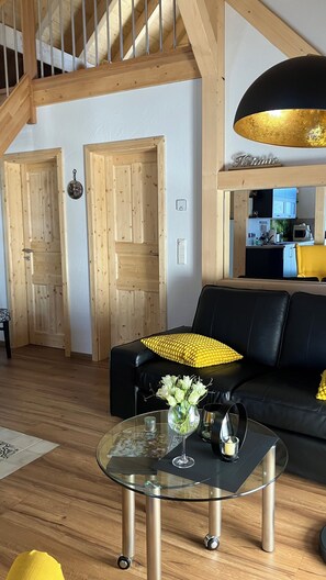 TV connectée, cheminée, livres