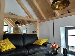 TV connectée, cheminée, livres