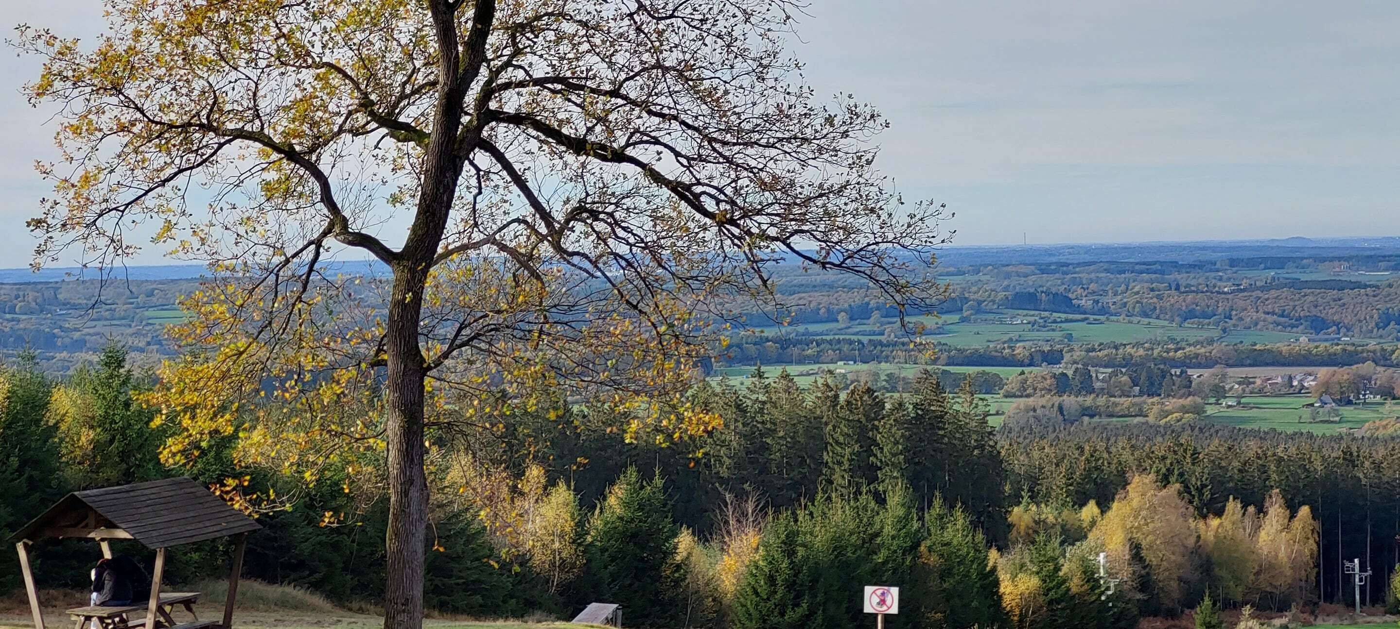 A picnic table and shelter in a natural setting with a view of a valley and distant buildings.