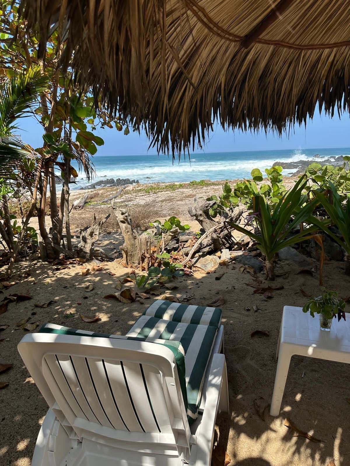 A beachside view with a thatched roof, a white lounge chair, and a table with a plant.