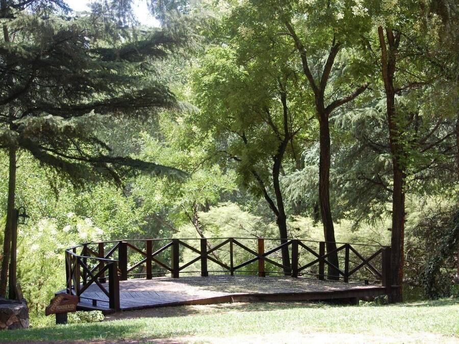 A wooden deck with a metal railing in a forested area.
