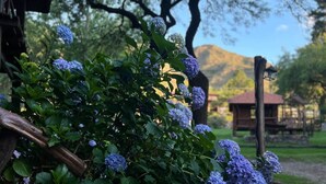 A garden with hydrangea bushes and a wooden structure in the background. - Aufenthalt Cabañas (Villa General Belgrano)